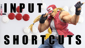 SSBU - Terry Bogard Motions, Input Shortcuts, and Coil